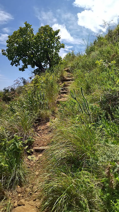 Drakensberg