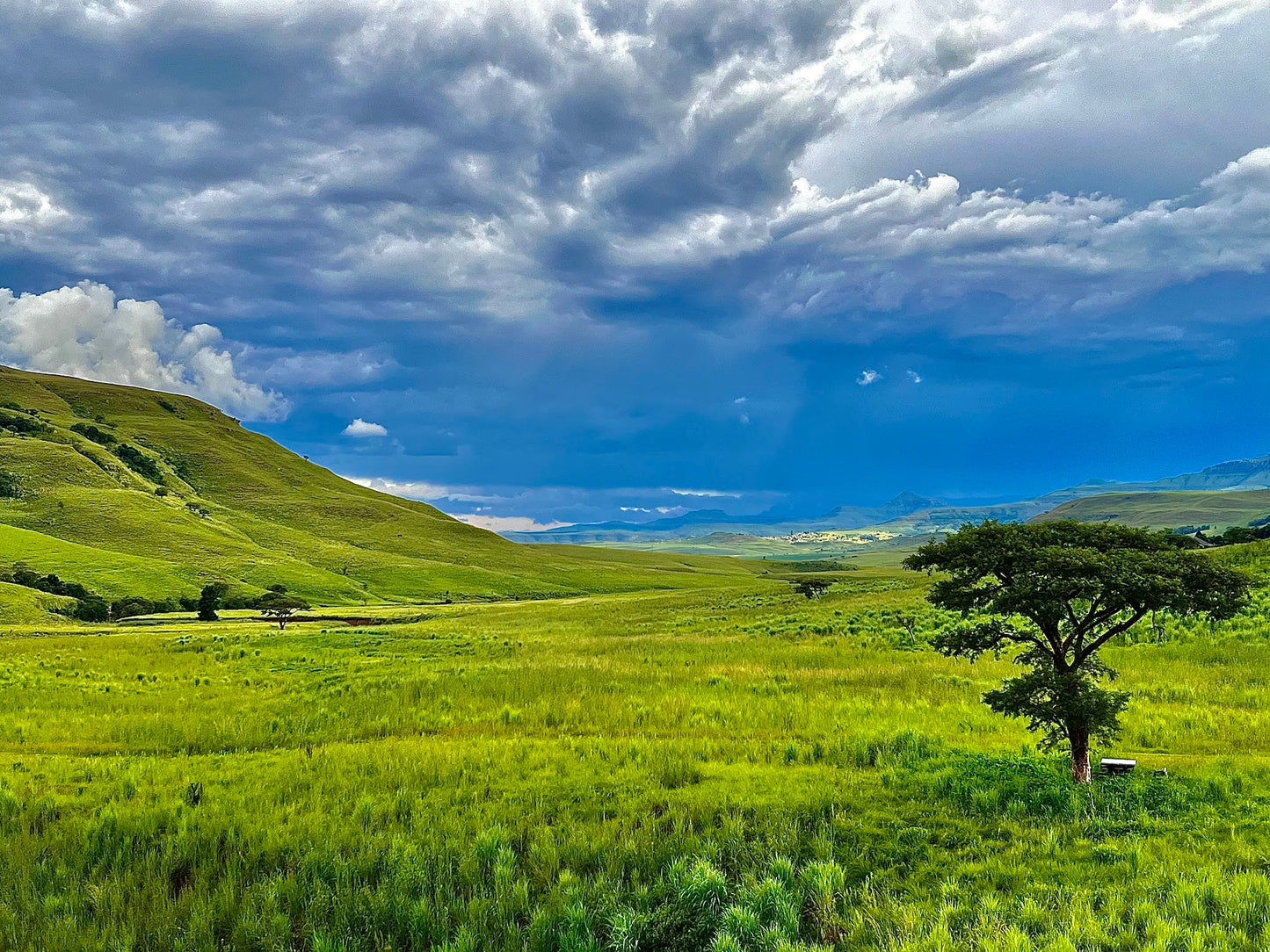 Drakensberg