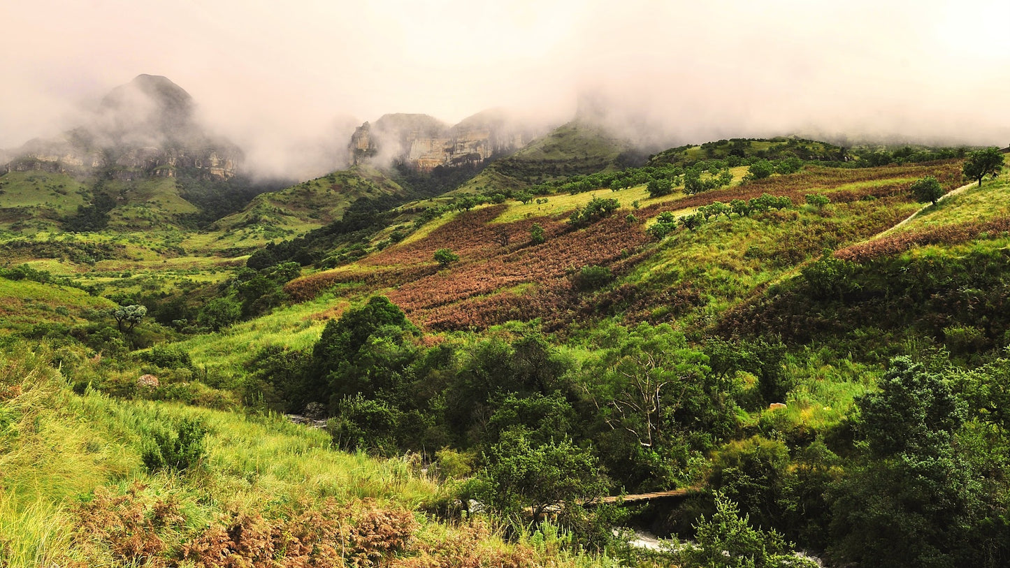 Drakensberg