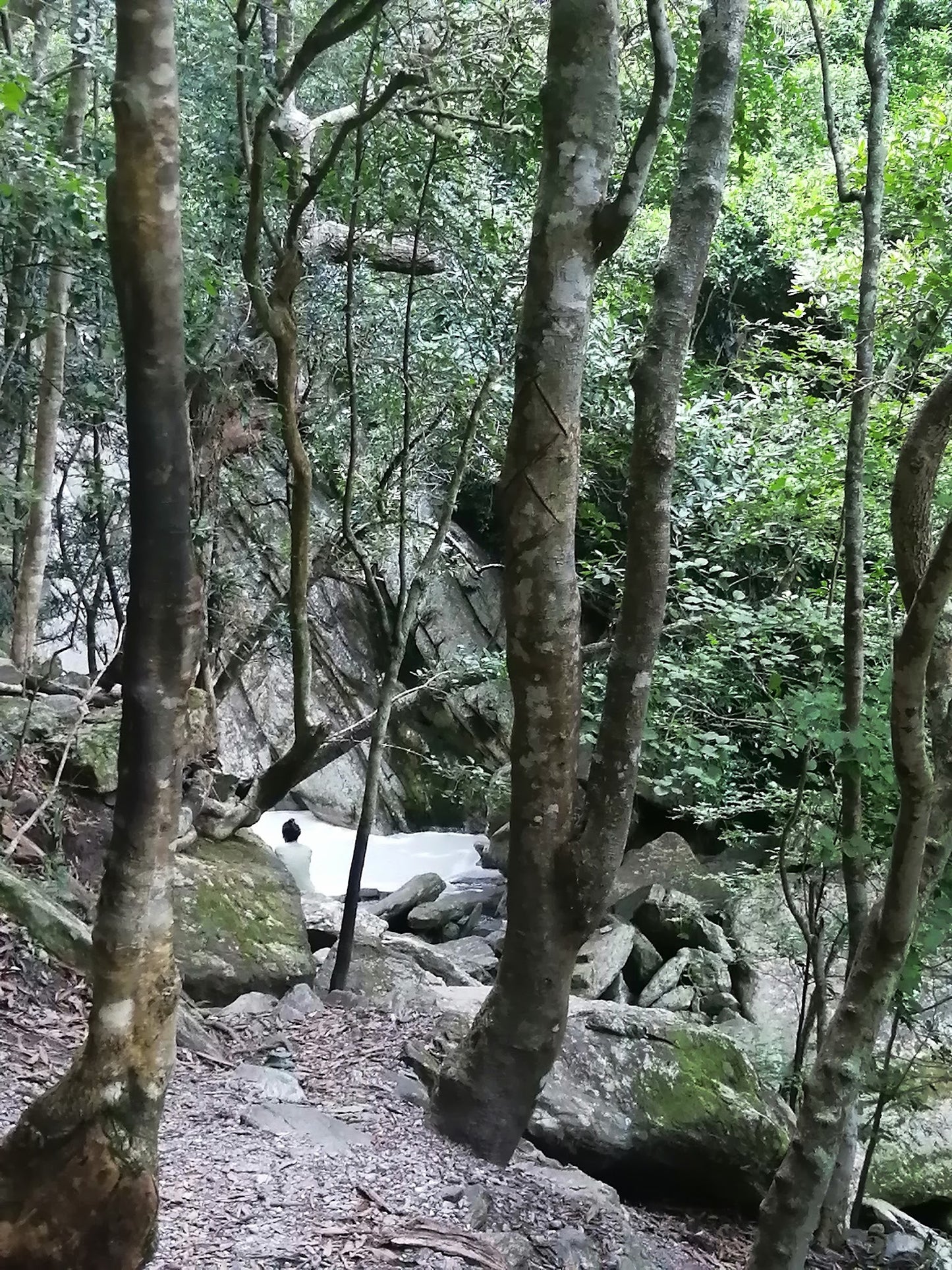 Duiwelsbos Waterfall