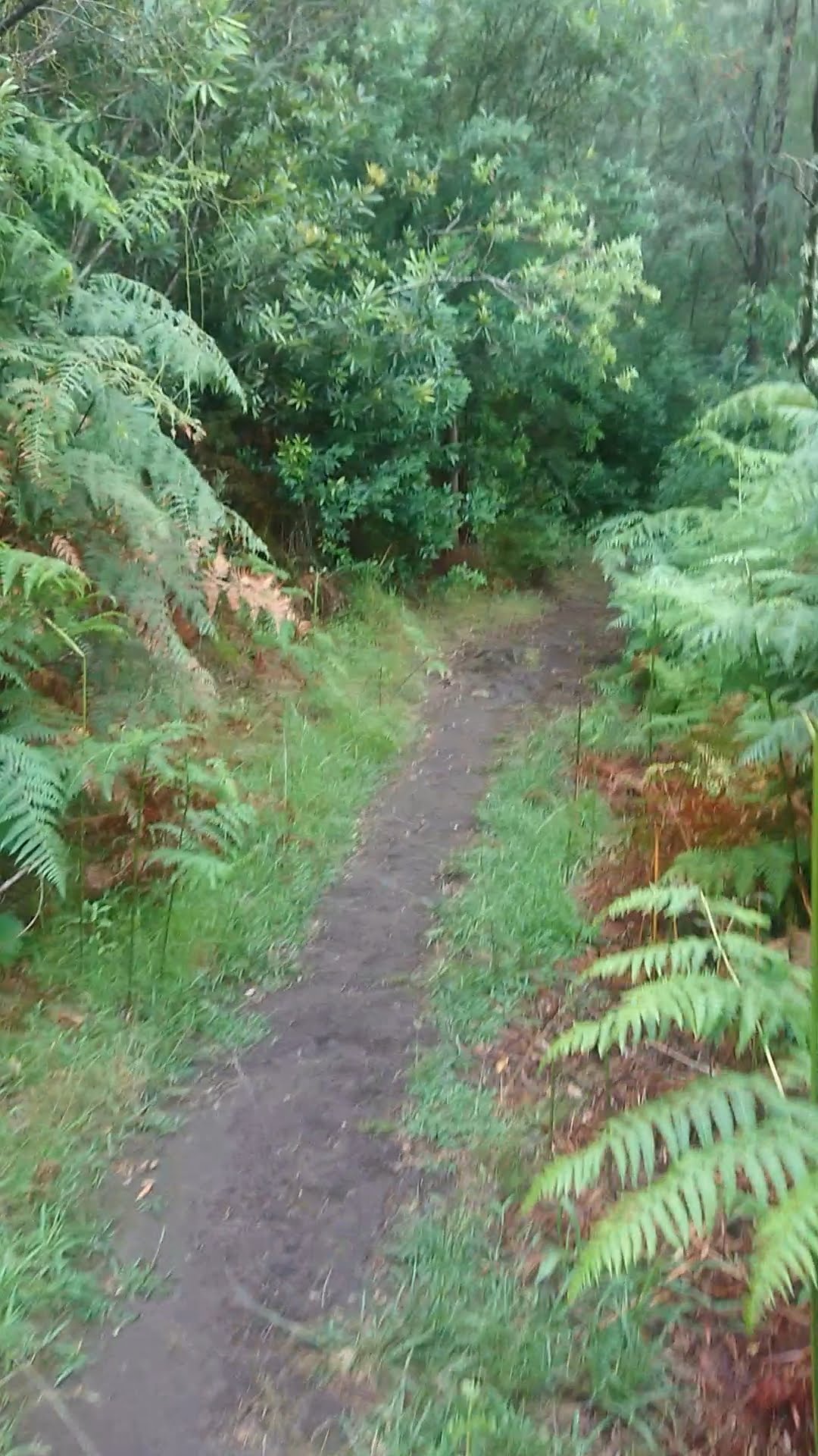 Duiwelsbos Waterfall