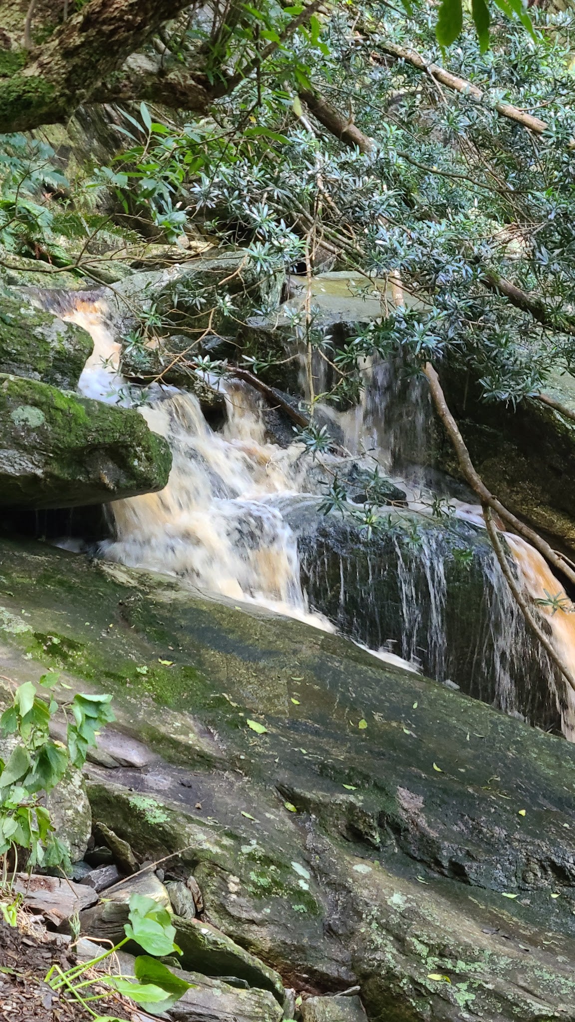 Duiwelsbos Waterfall