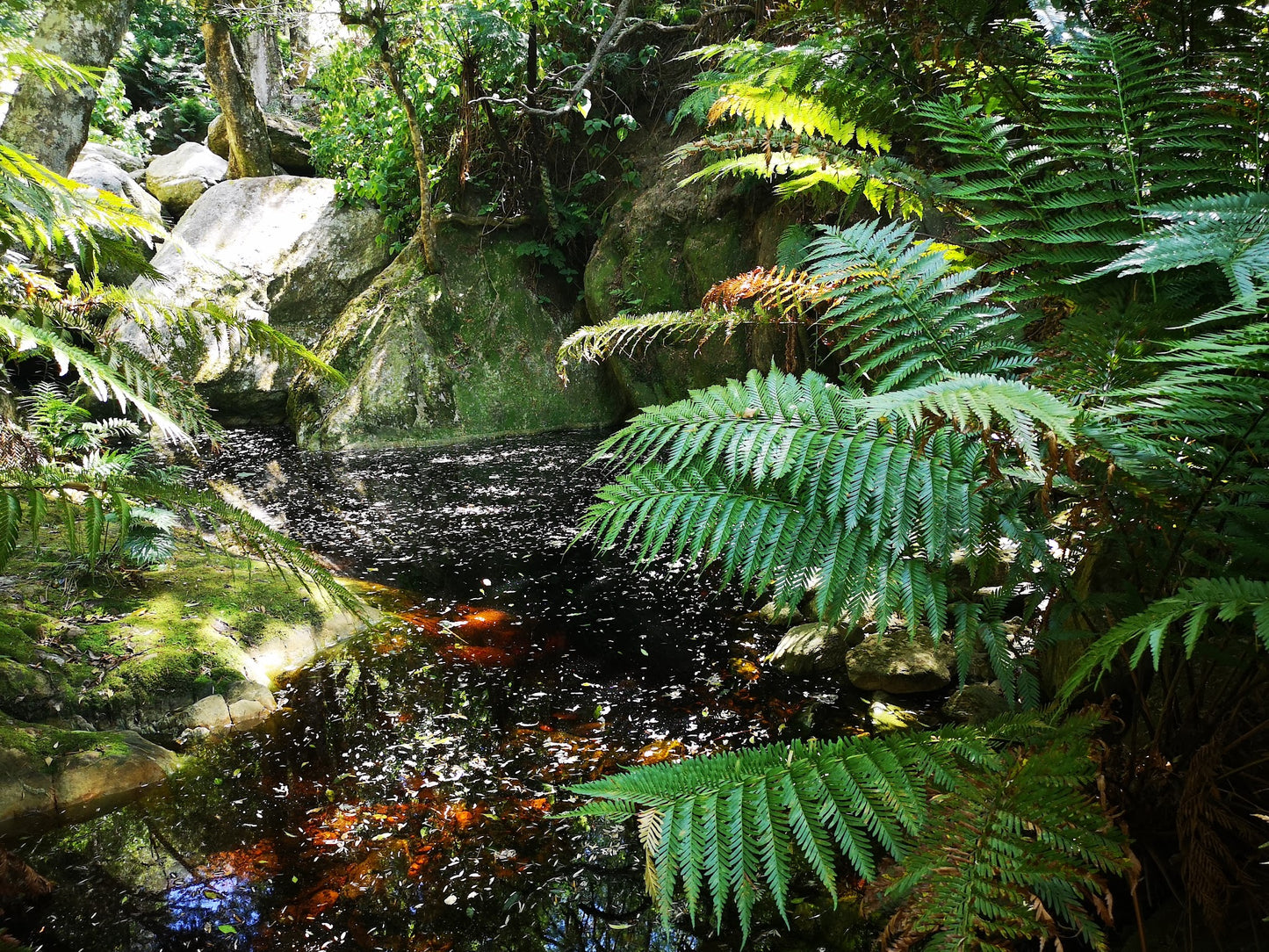 Duiwelsbos Waterfall