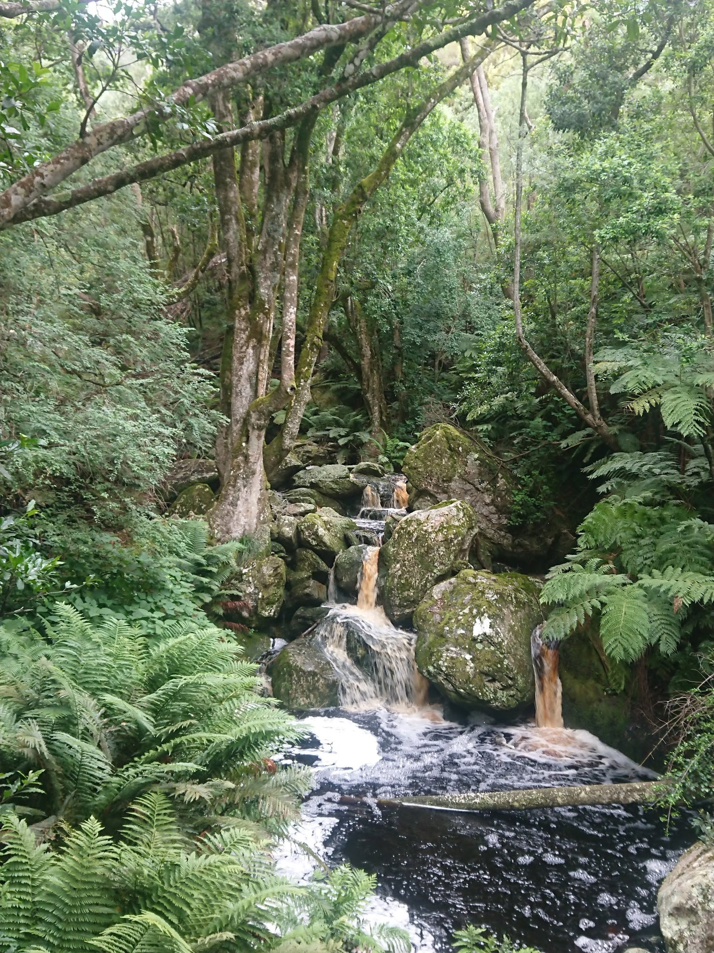 Duiwelsbos Waterfall