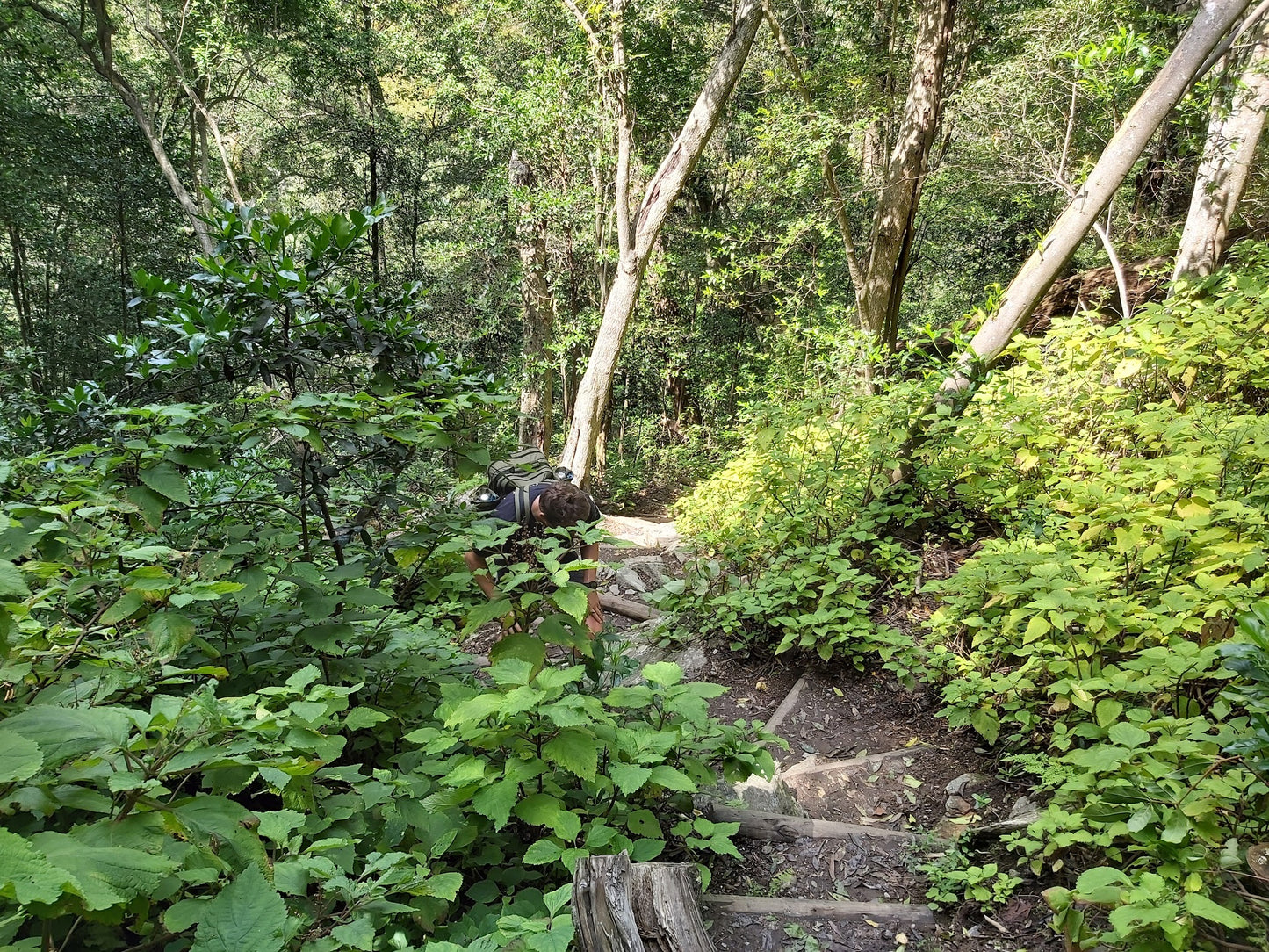 Duiwelsbos Waterfall