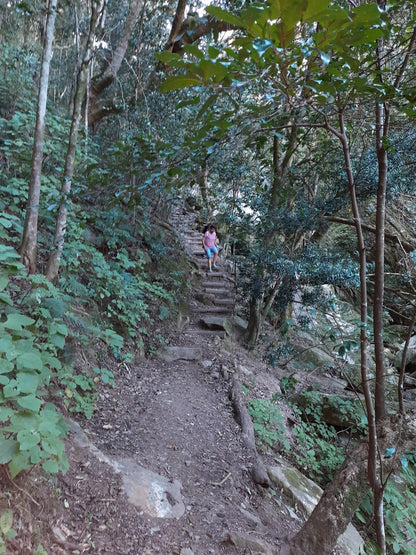 Duiwelsbos Waterfall