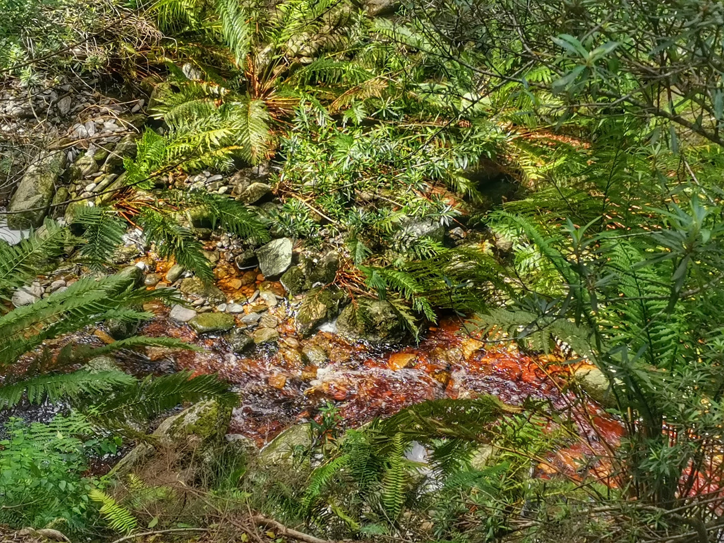 Duiwelsbos Waterfall