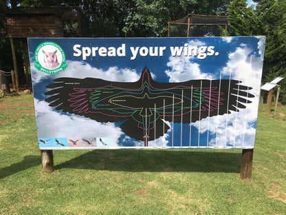  Dullstroom Bird of Prey & Rehabilitation Centre