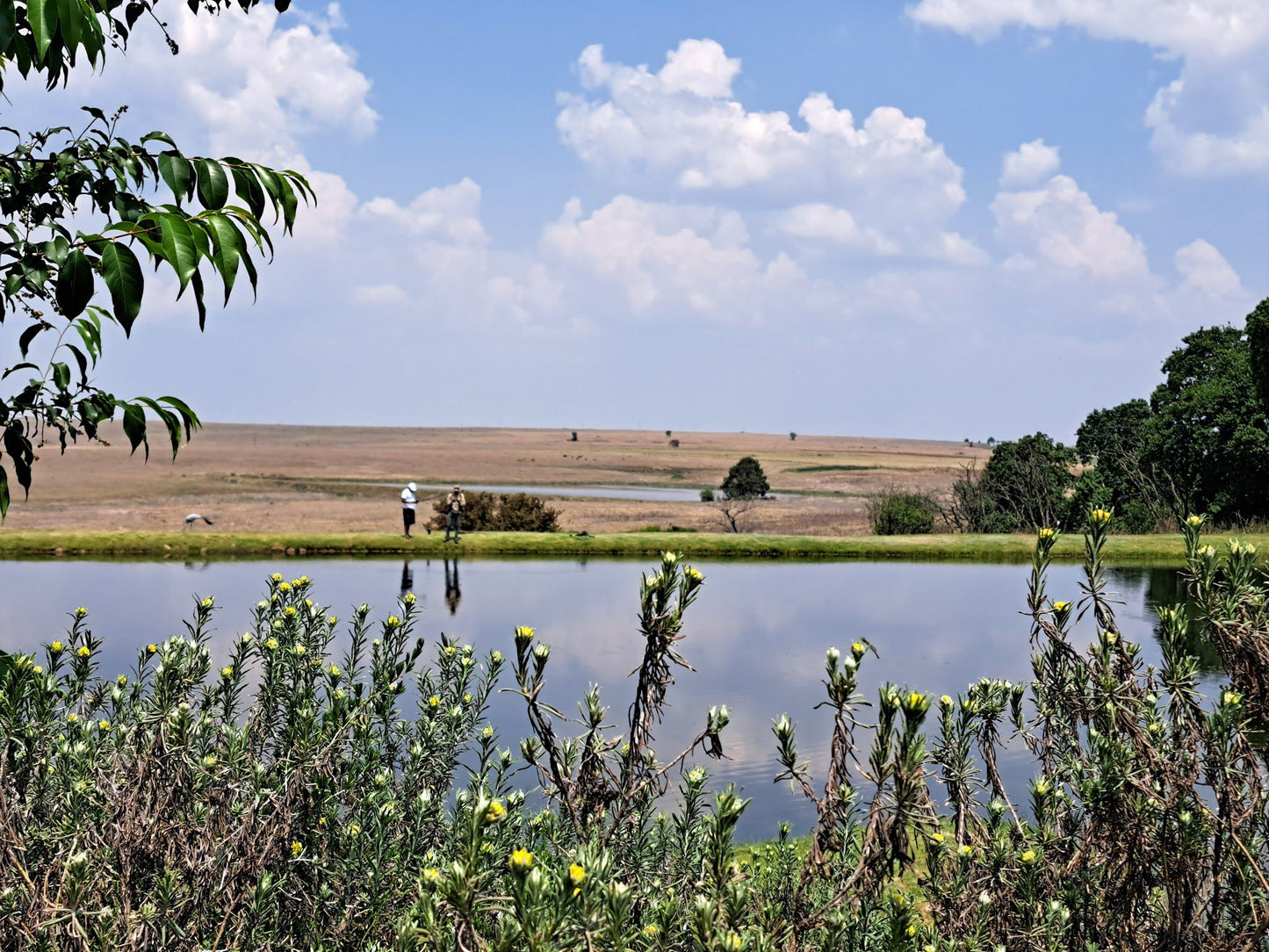  Dullstroom Bird of Prey & Rehabilitation Centre