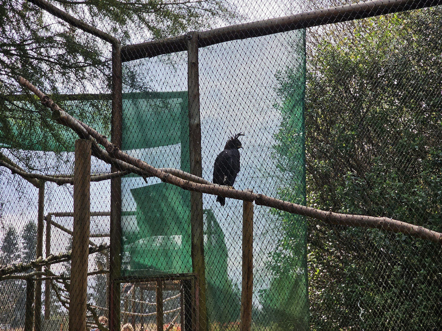  Dullstroom Bird of Prey & Rehabilitation Centre