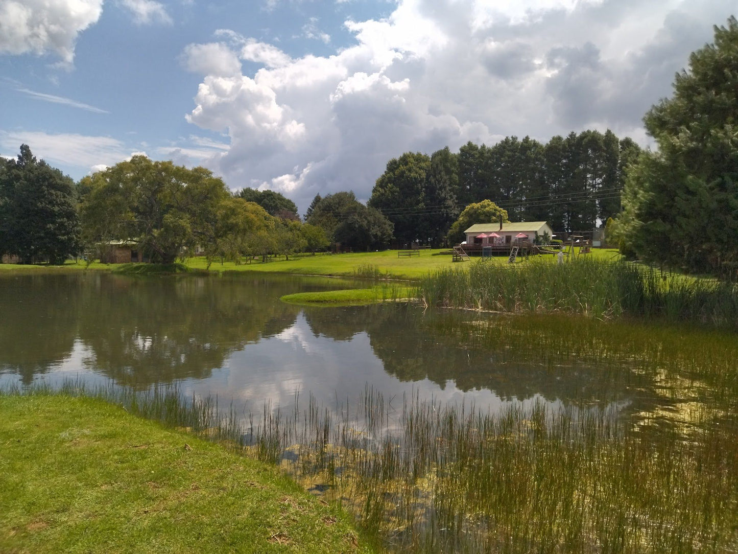  Dullstroom Bird of Prey & Rehabilitation Centre