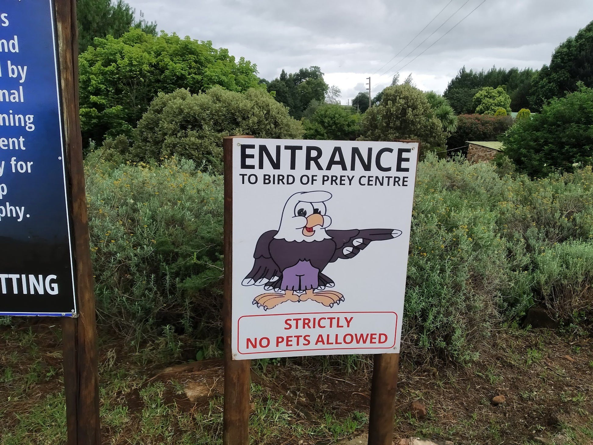  Dullstroom Bird of Prey & Rehabilitation Centre