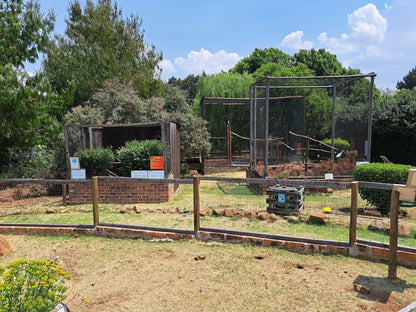  Dullstroom Bird of Prey & Rehabilitation Centre