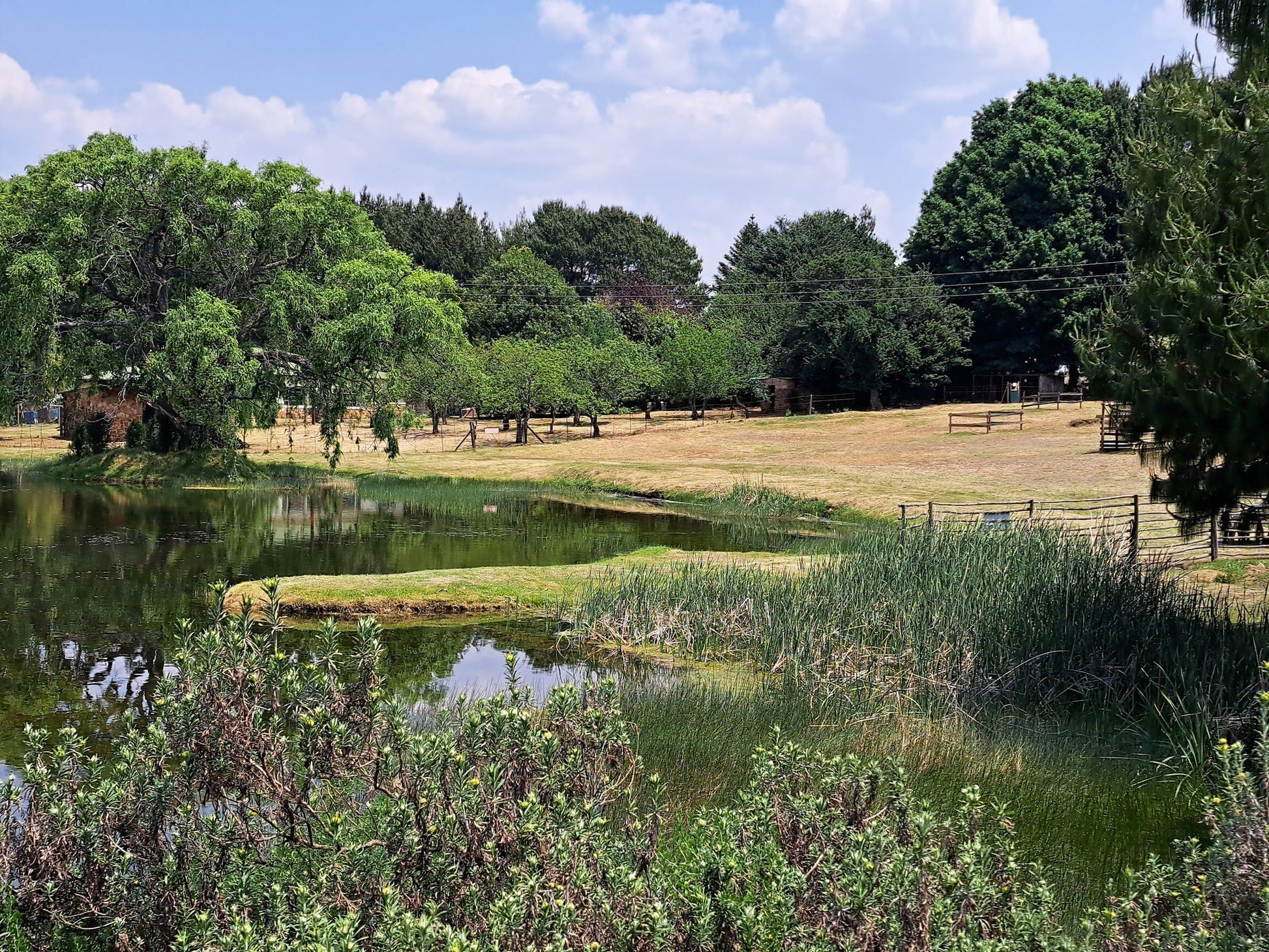  Dullstroom Bird of Prey & Rehabilitation Centre