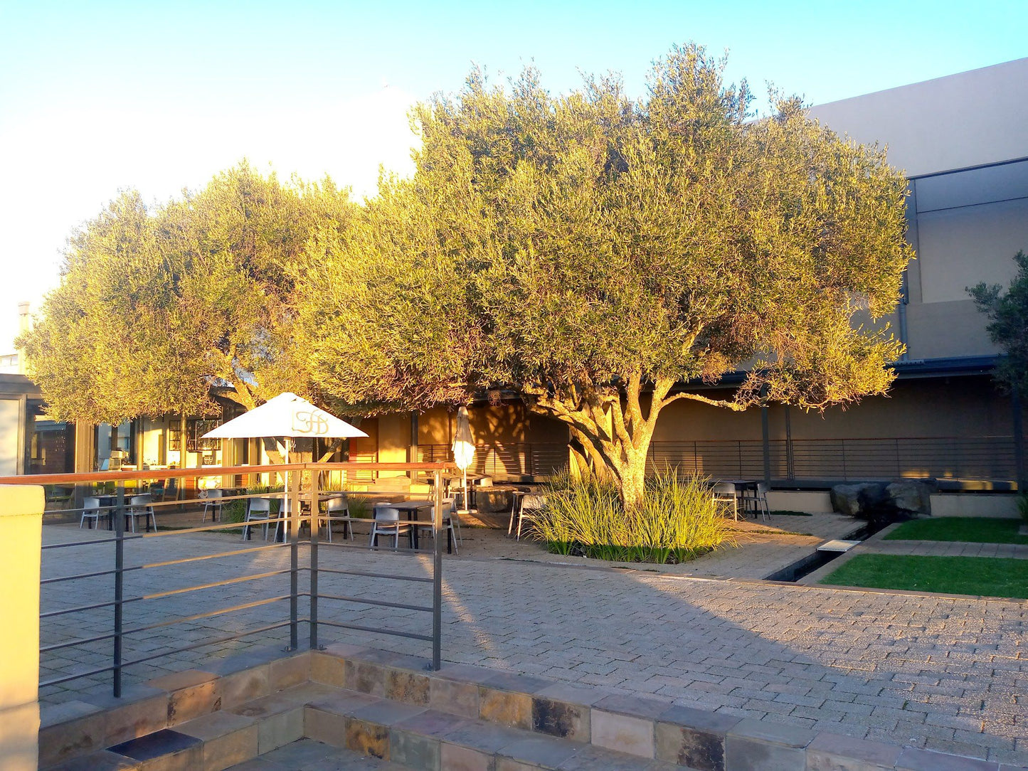  Durbanville Hills Winery