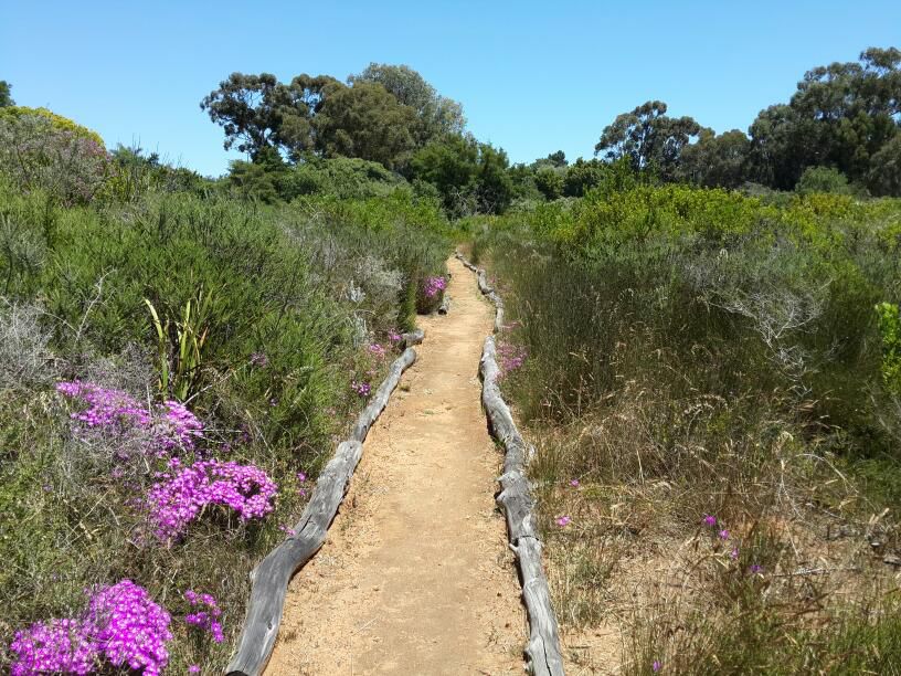  Durbanville Nature Reserve