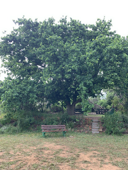  Durbanville Nature Reserve