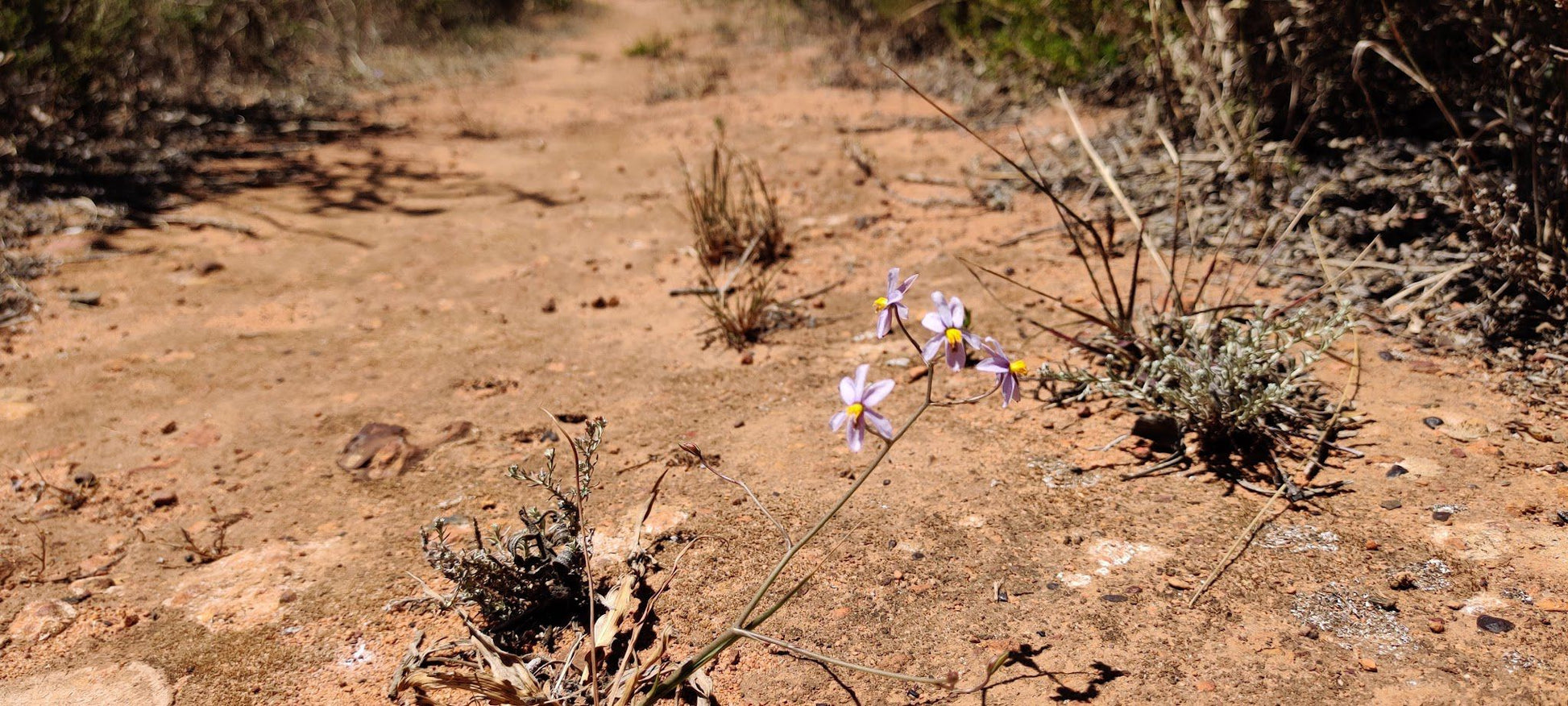  Durbanville Nature Reserve