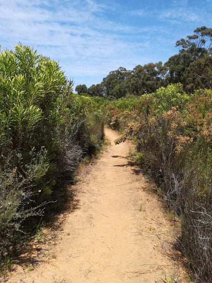  Durbanville Nature Reserve