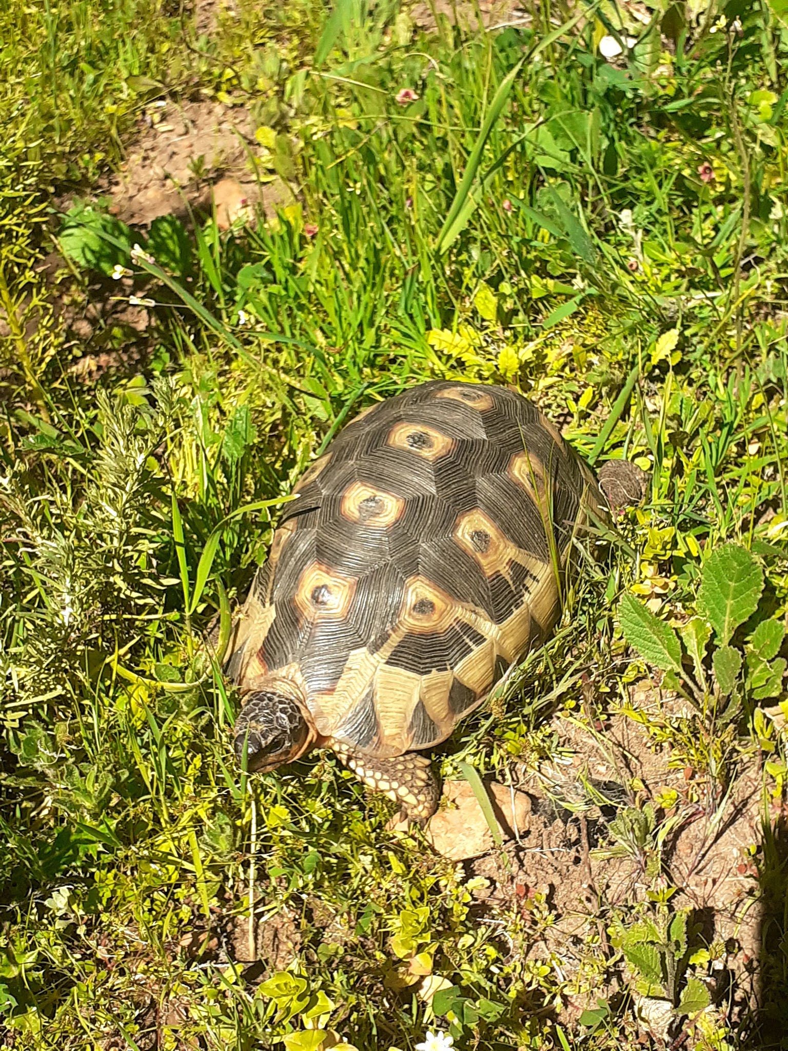  Durbanville Nature Reserve