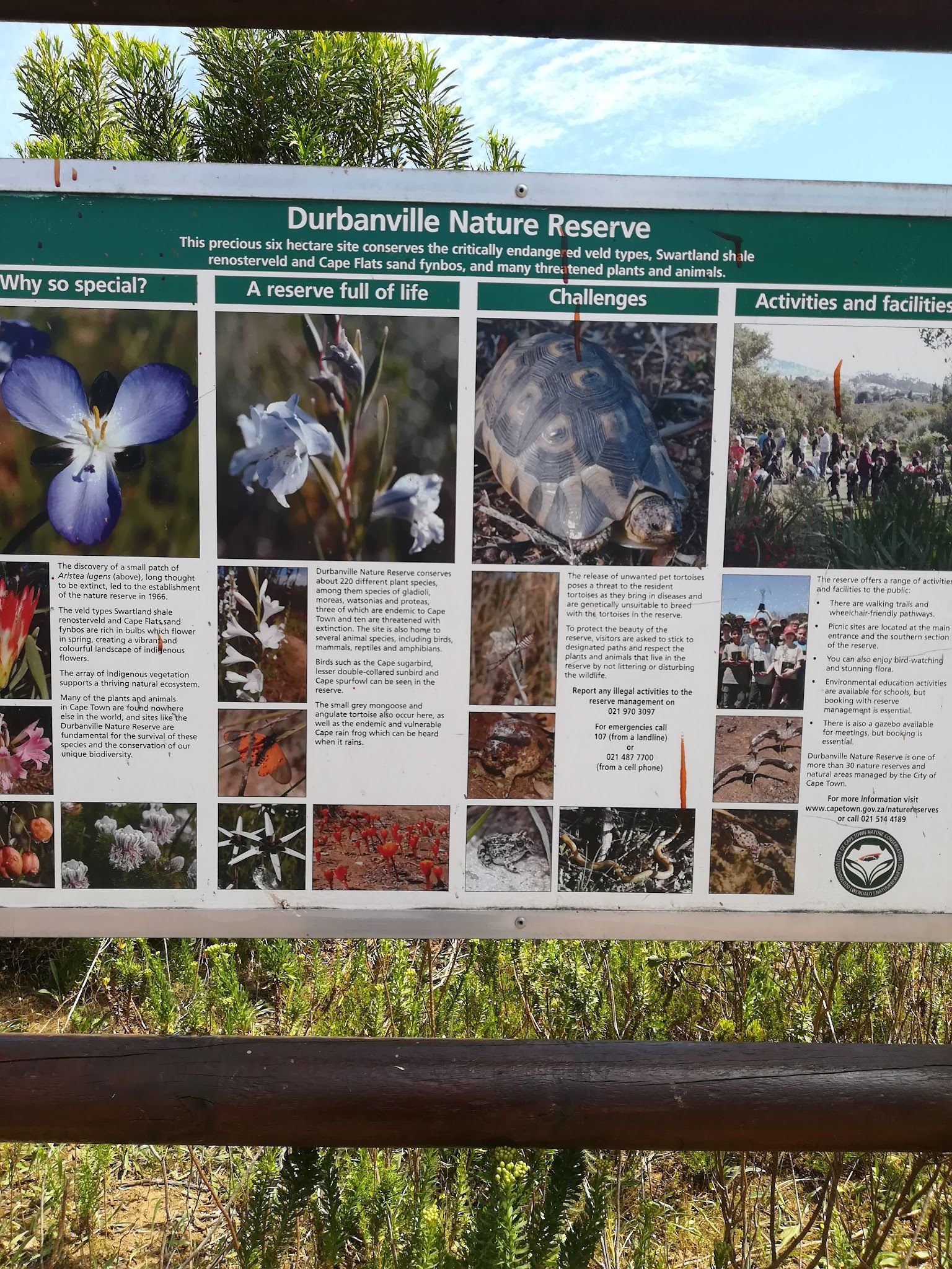  Durbanville Nature Reserve