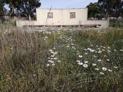  Durbanville Nature Reserve