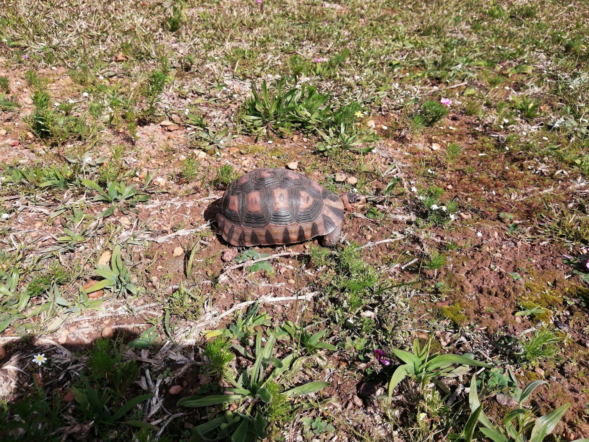  Durbanville Nature Reserve