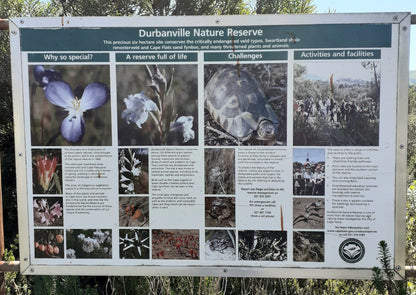  Durbanville Nature Reserve