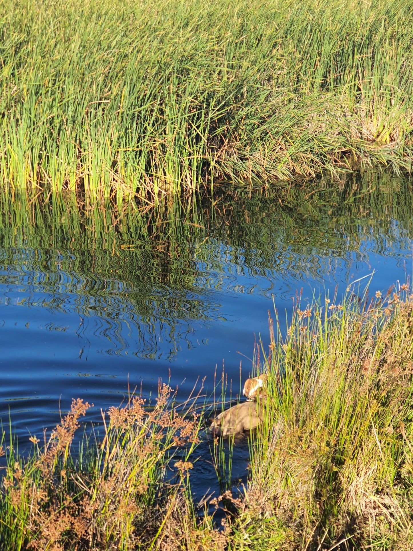  Durbanville Nature Reserve