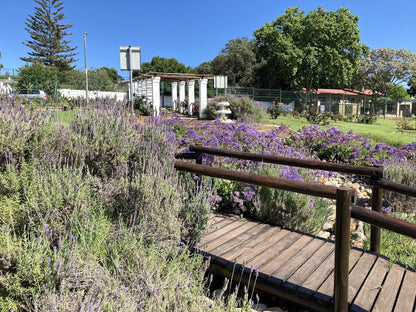  Durbanville Rose Garden