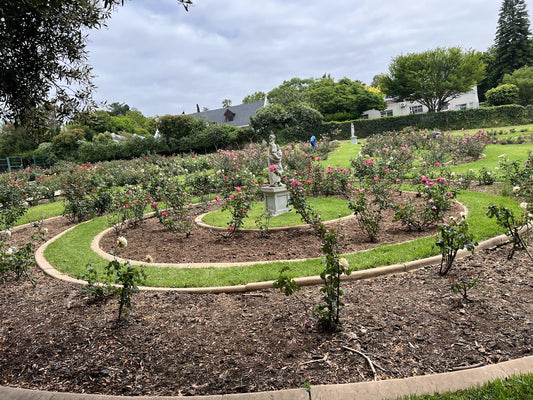  Durbanville Rose Garden