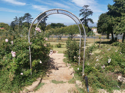  Durbanville Rose Garden