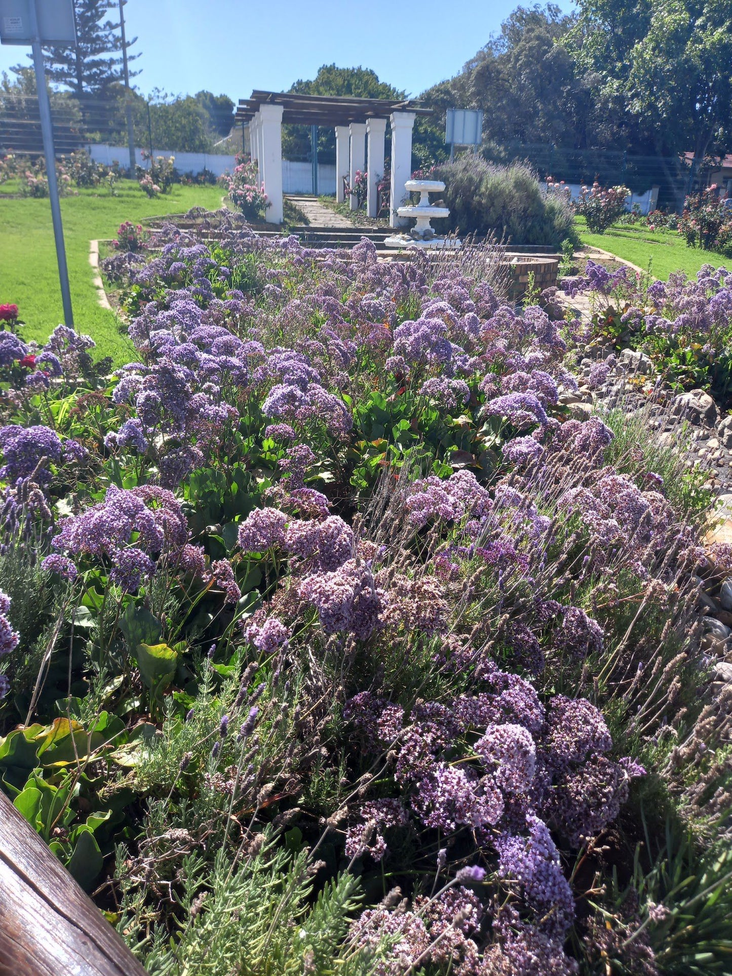  Durbanville Rose Garden