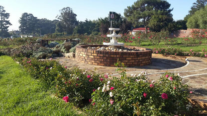  Durbanville Rose Garden