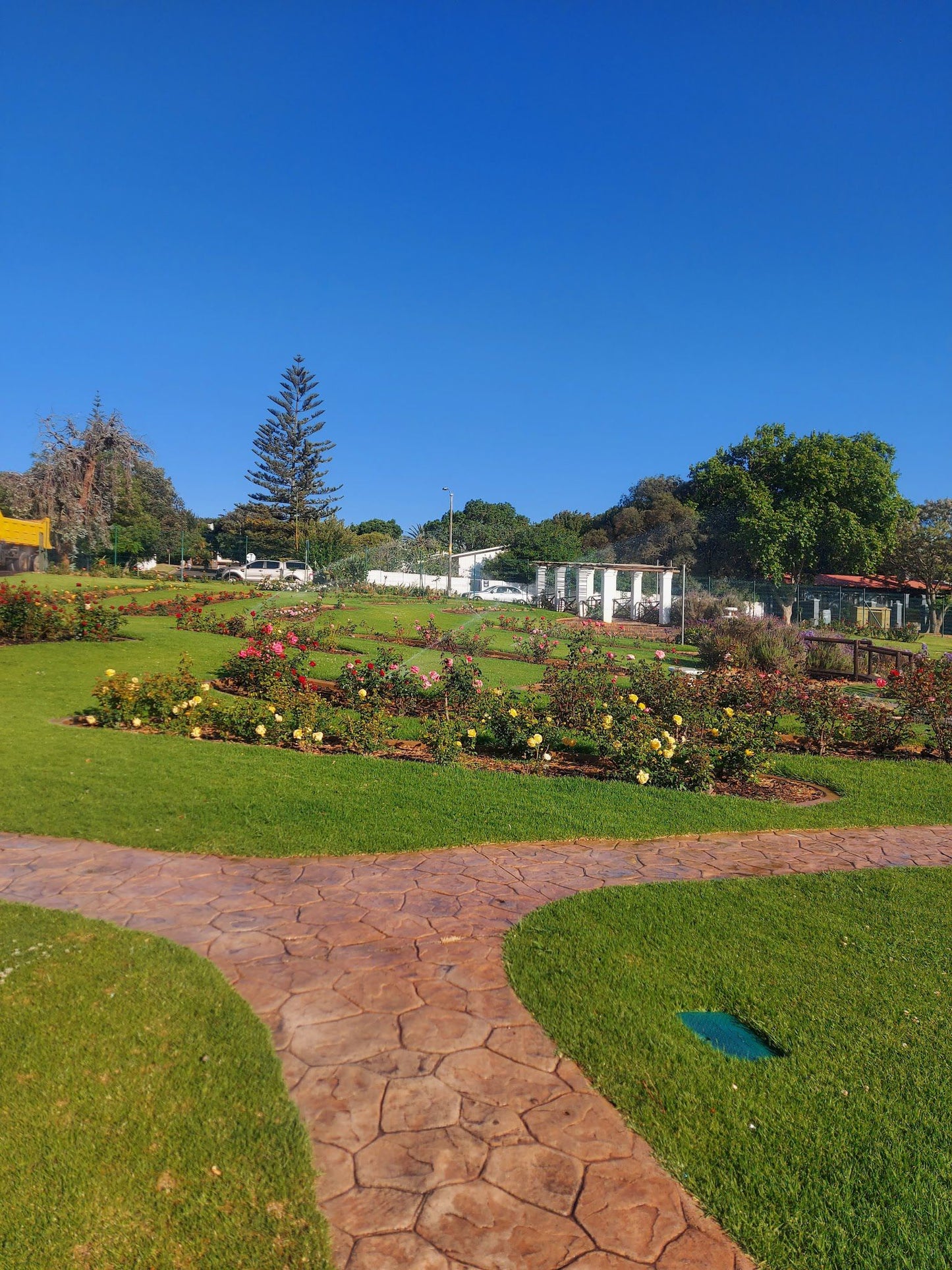  Durbanville Rose Garden