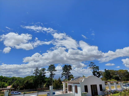  Durbanville Rose Garden