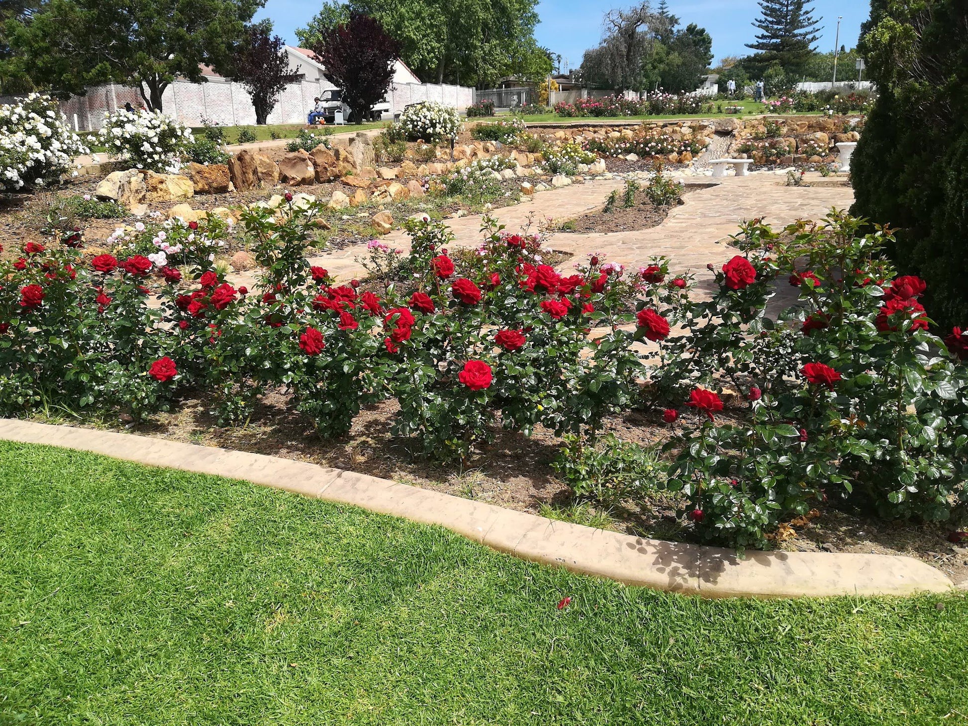  Durbanville Rose Garden