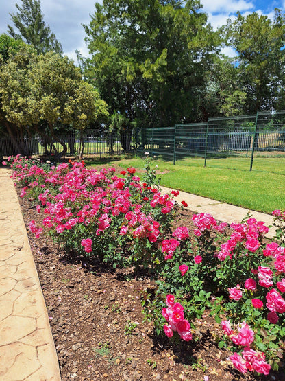  Durbanville Rose Garden