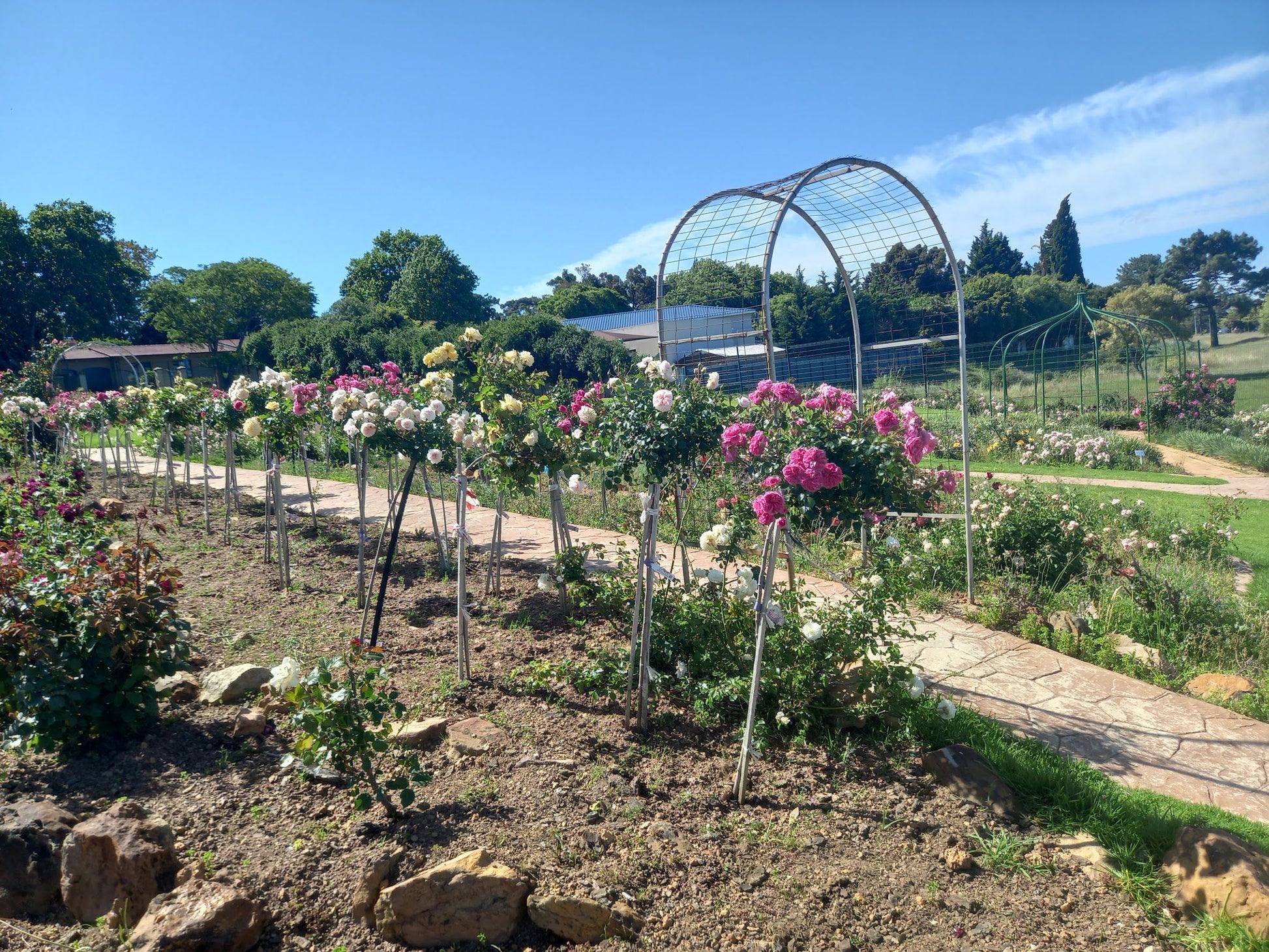  Durbanville Rose Garden
