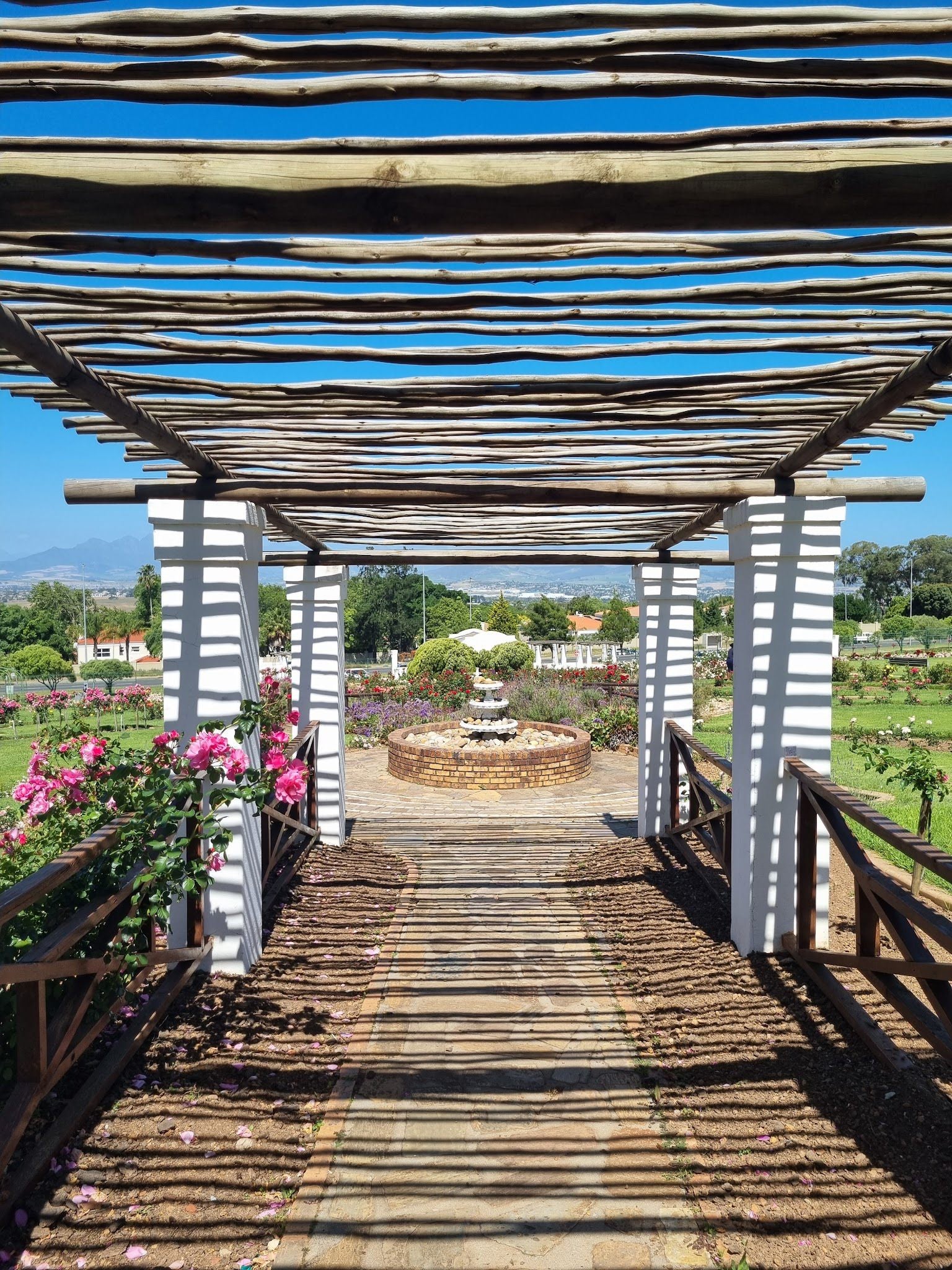  Durbanville Rose Garden