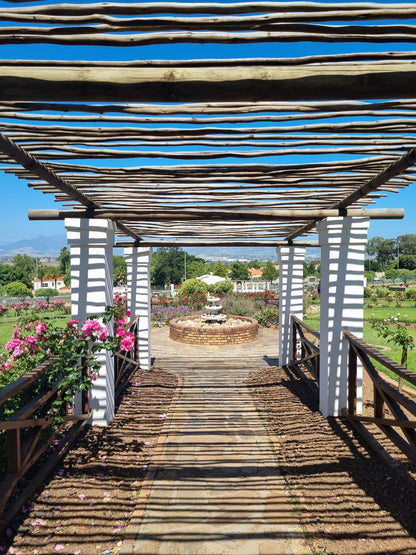  Durbanville Rose Garden