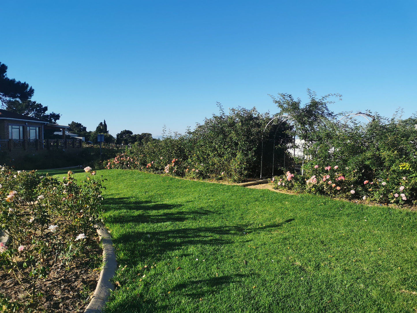  Durbanville Rose Garden