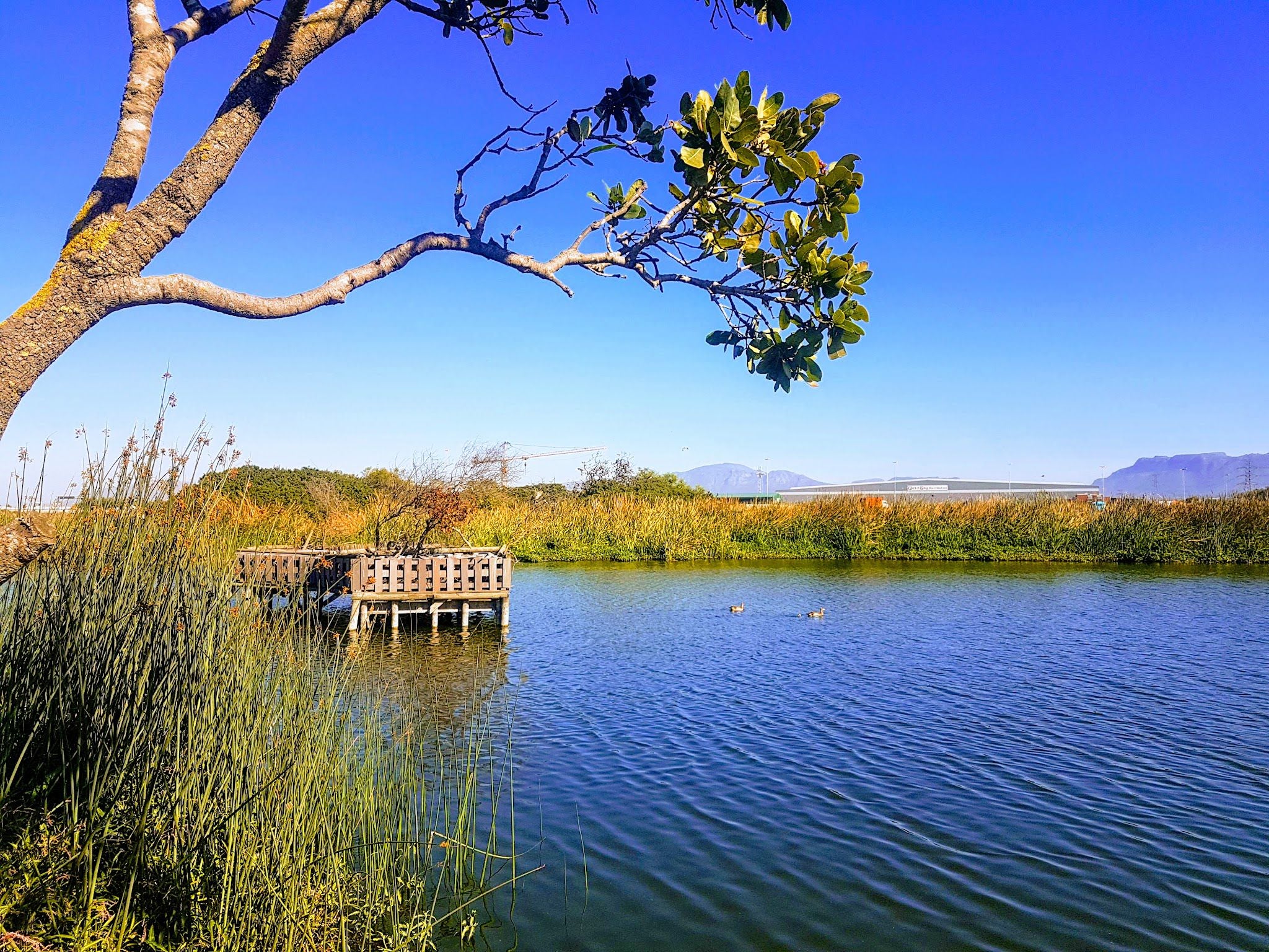  Edith Stephens Nature Reserve