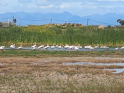  Edith Stephens Nature Reserve