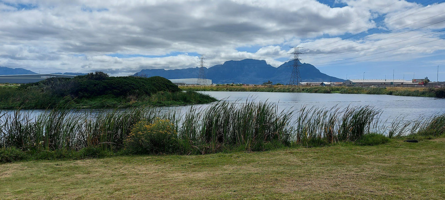  Edith Stephens Nature Reserve