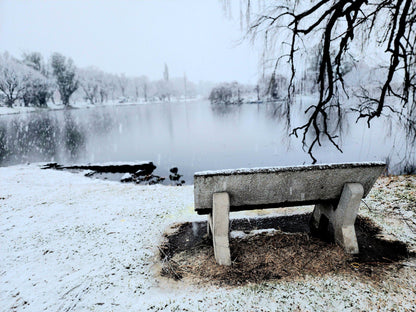  Eende Dam