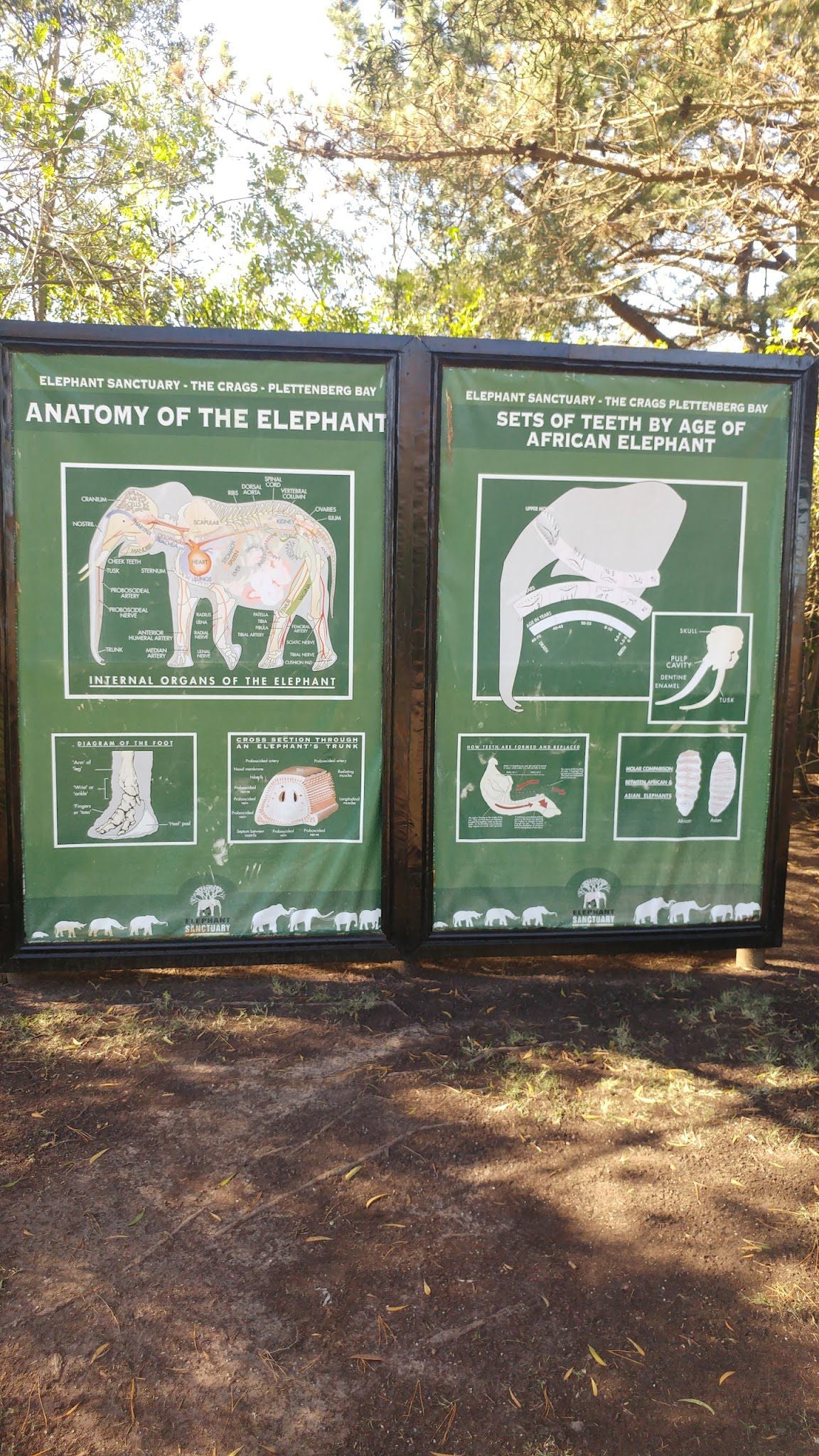  Elephant Sanctuary Plettenberg Bay