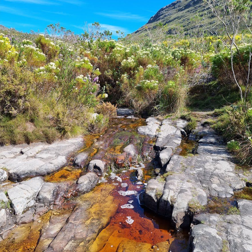  Elephant's Eye Cave