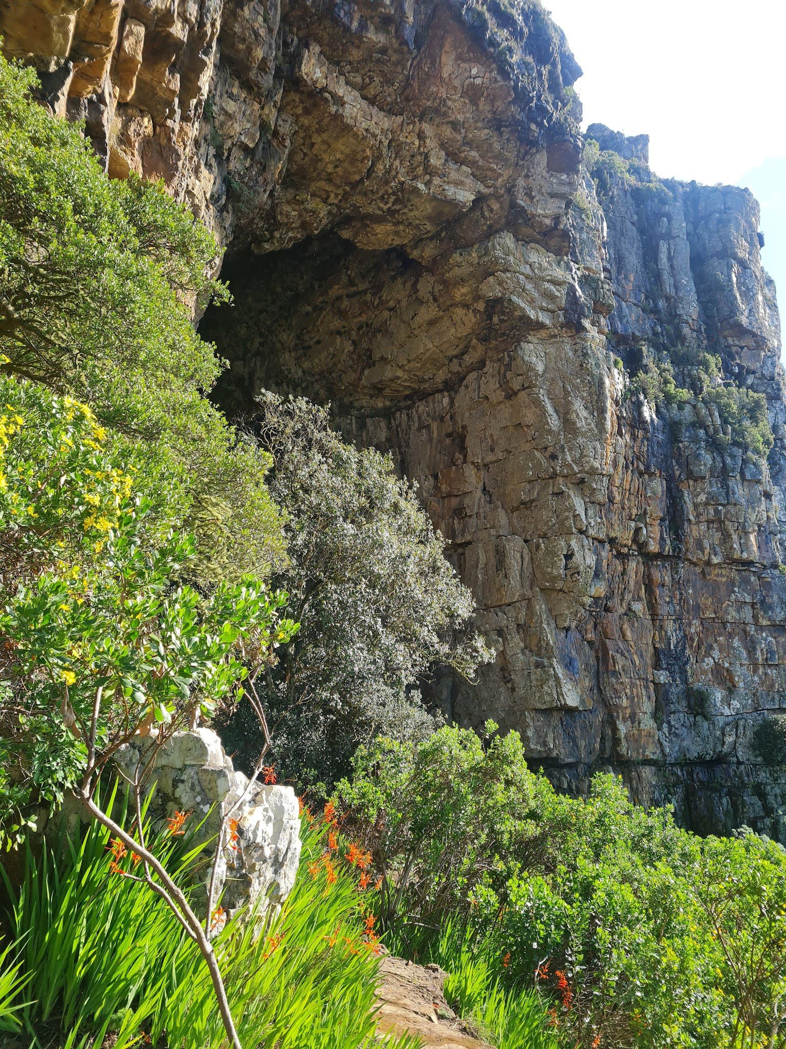  Elephant's Eye Cave