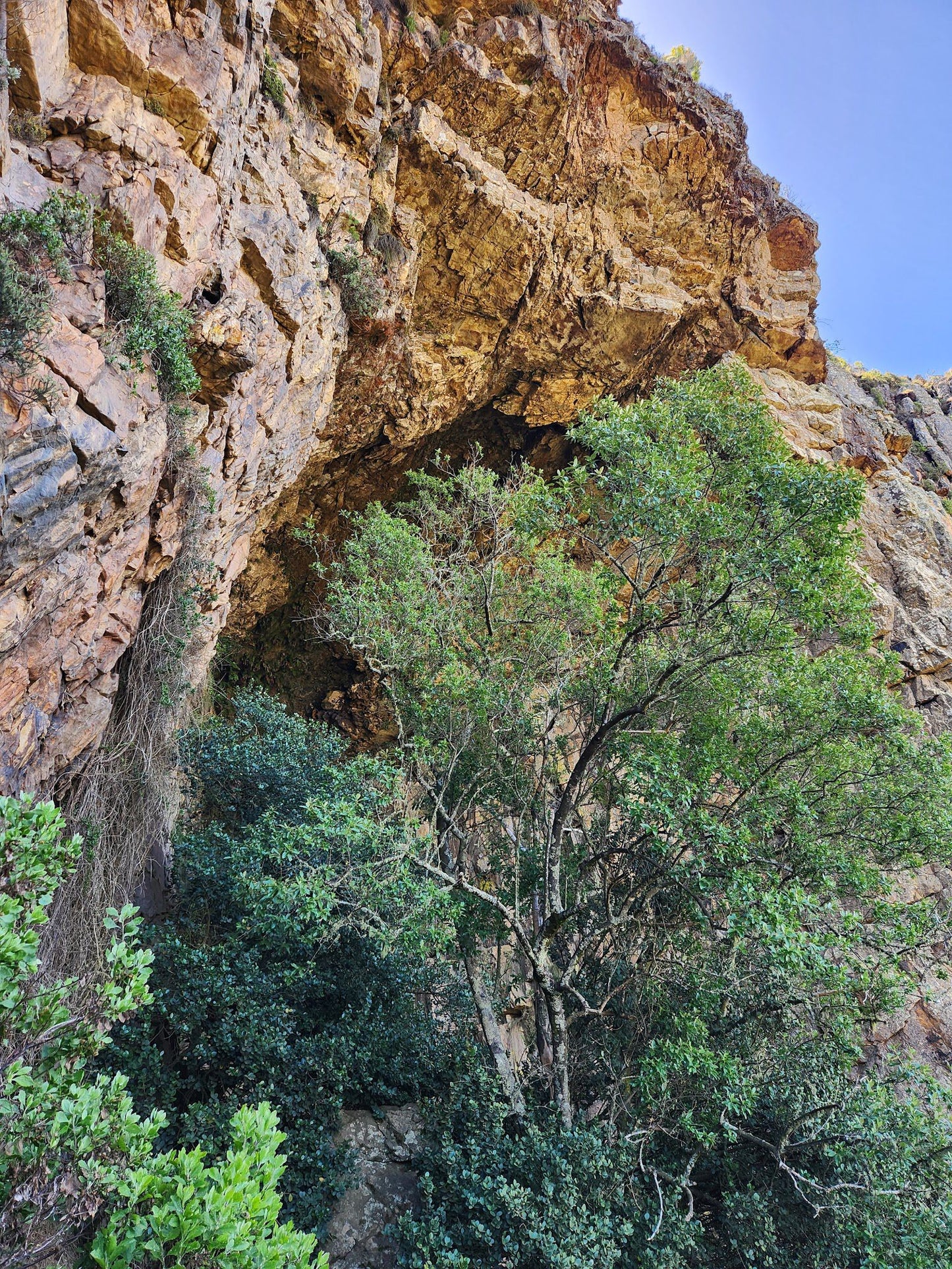  Elephant's Eye Cave